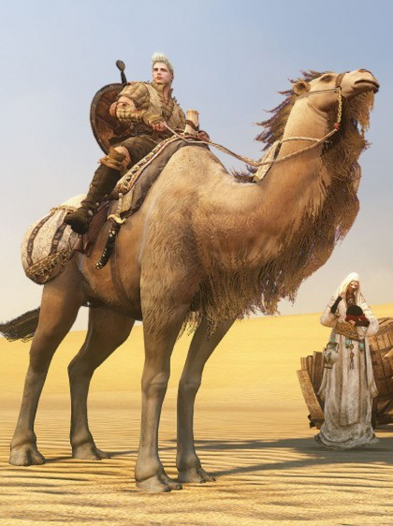 BDO camello 2