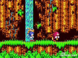 sonic and Knuckles